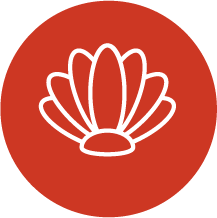 autentyczne wycieczki