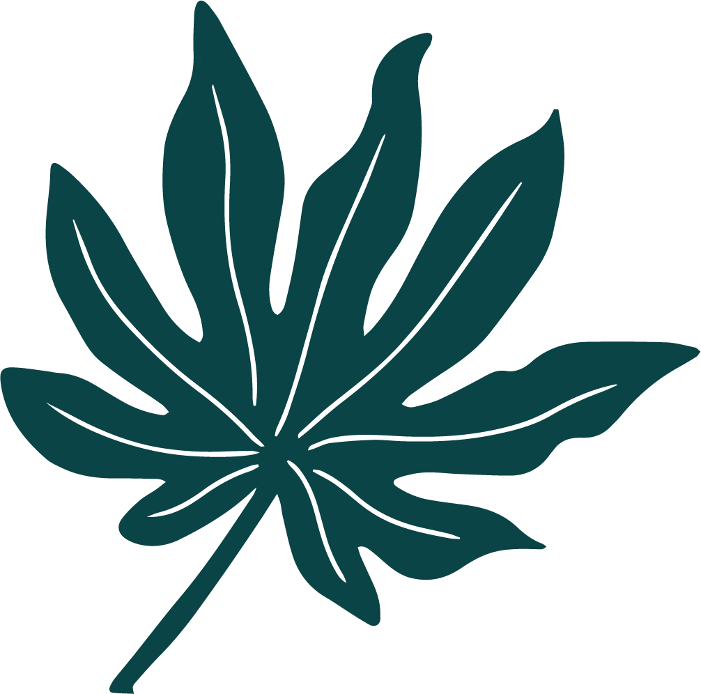 liść z lasu Madery