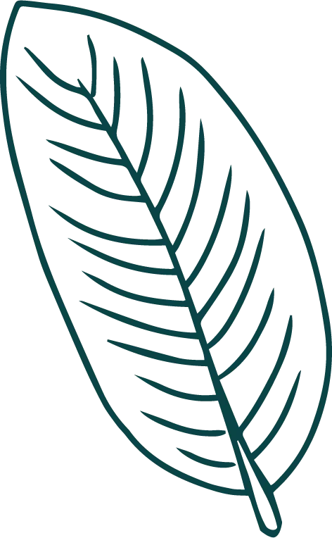 zielony egzotyczny liść